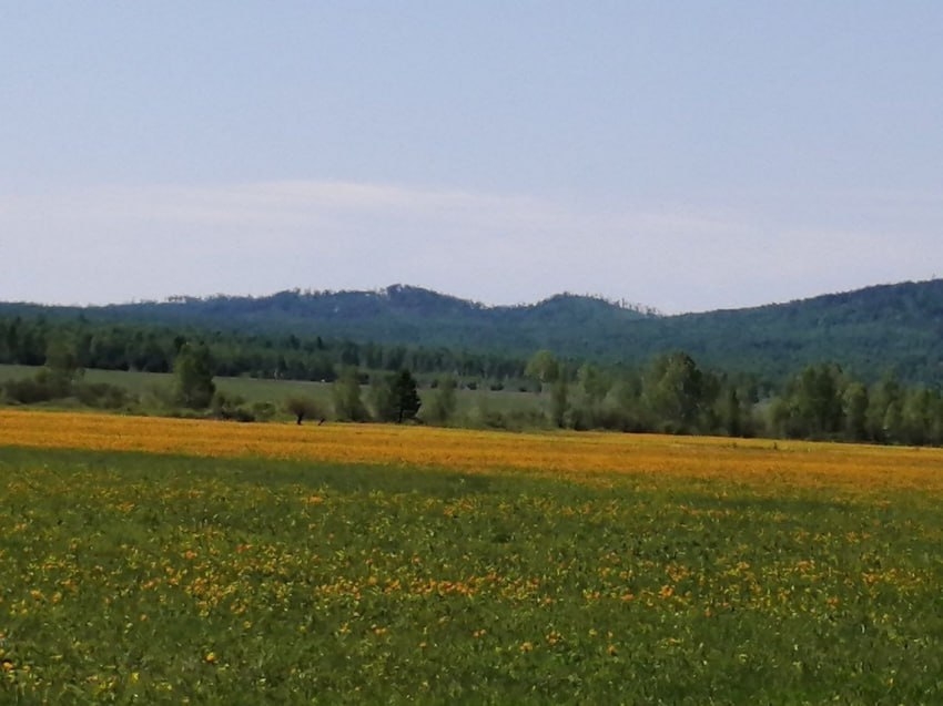 ​Рассказать о проблемах в муниципалитетах Забайкалья могут местные жители – для этого создан опрос